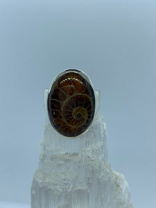 Ammonit Silberring
